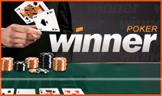 Erste Schritte bei Winner Poker